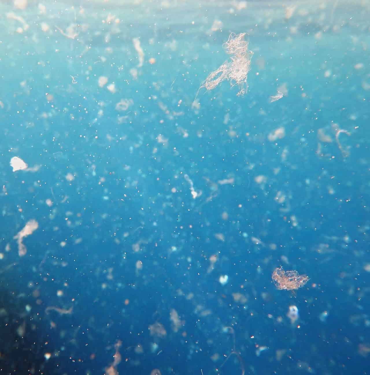 Microplastiche: sono presenti anche nei ghiacci dell’Artico! La catastrofe