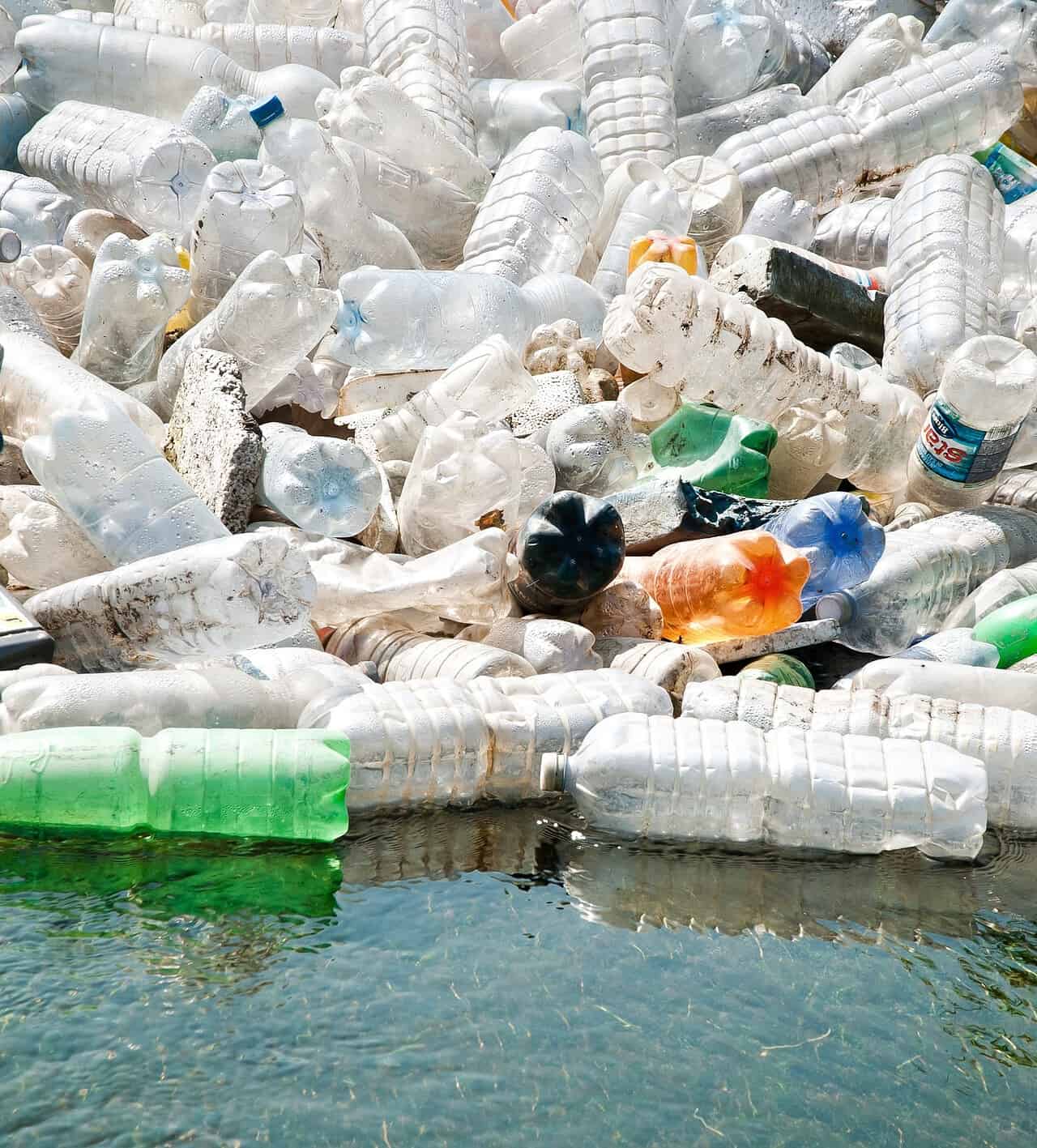 Plastisfera: un neologismo che indica una cosa tremenda. Ecco quale 30 Plastisfera: un neologismo che indica una cosa tremenda. Ecco quale