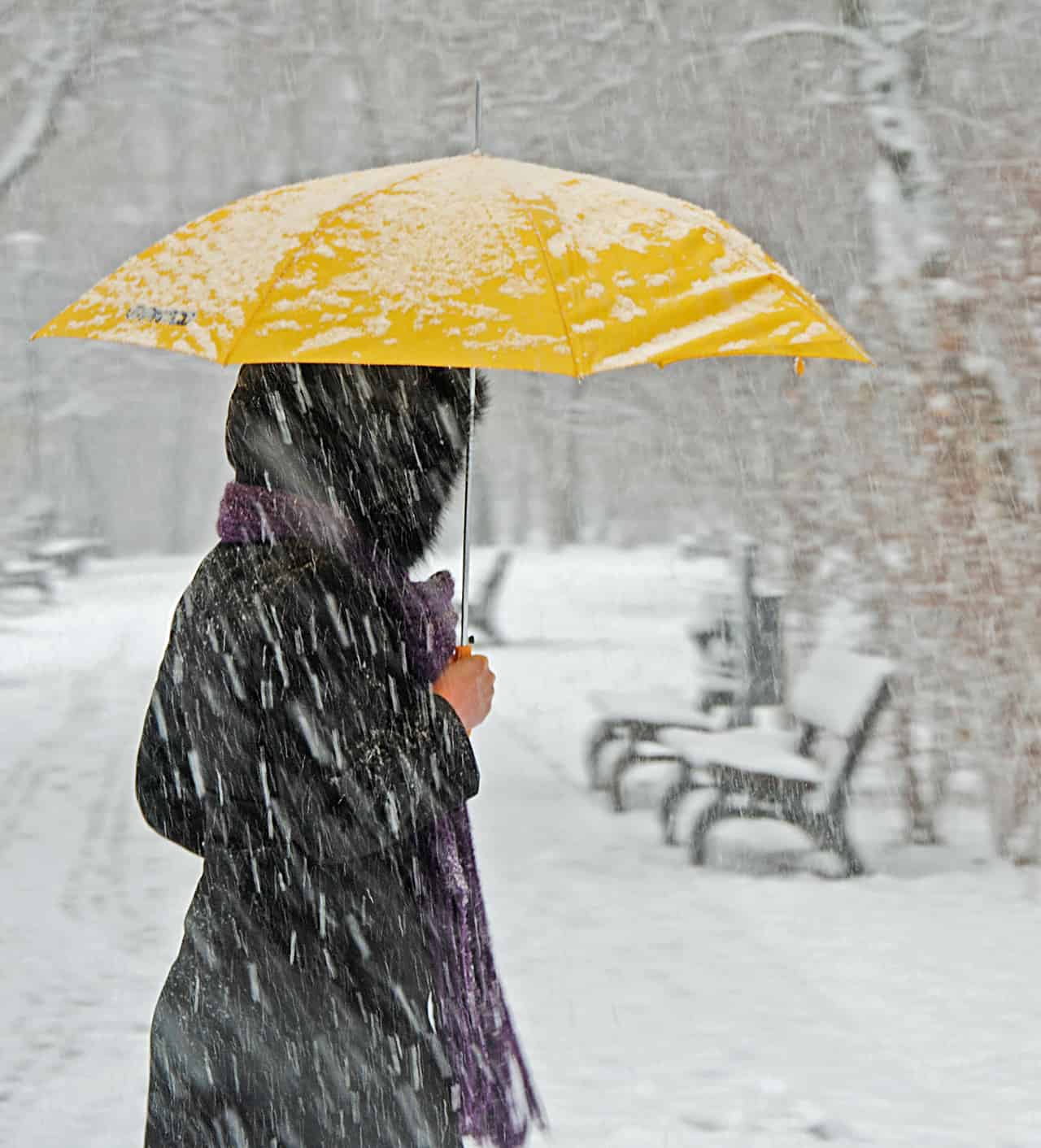 Meteo, la straordinaria tormenta di neve nella zona dei Grandi Laghi