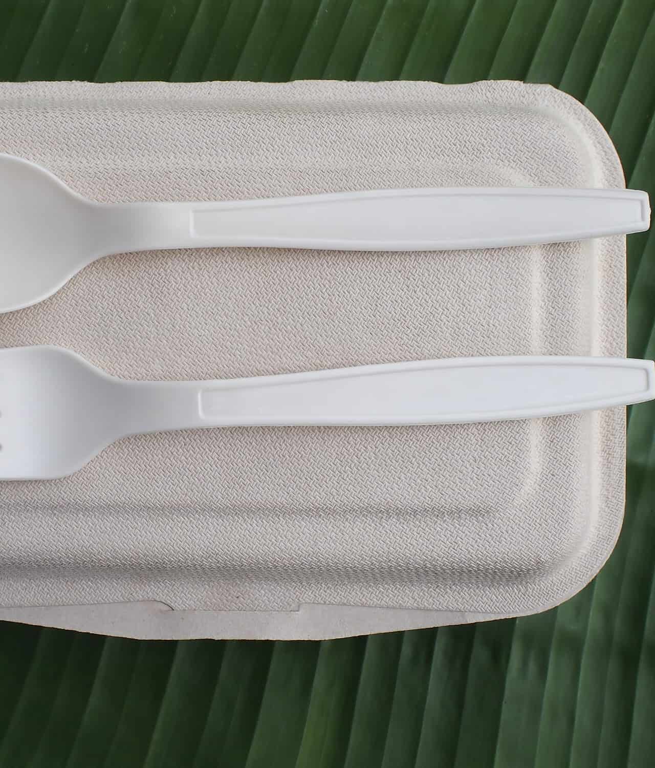 Plastica biodegradabile: se usata male fa molti DANNI