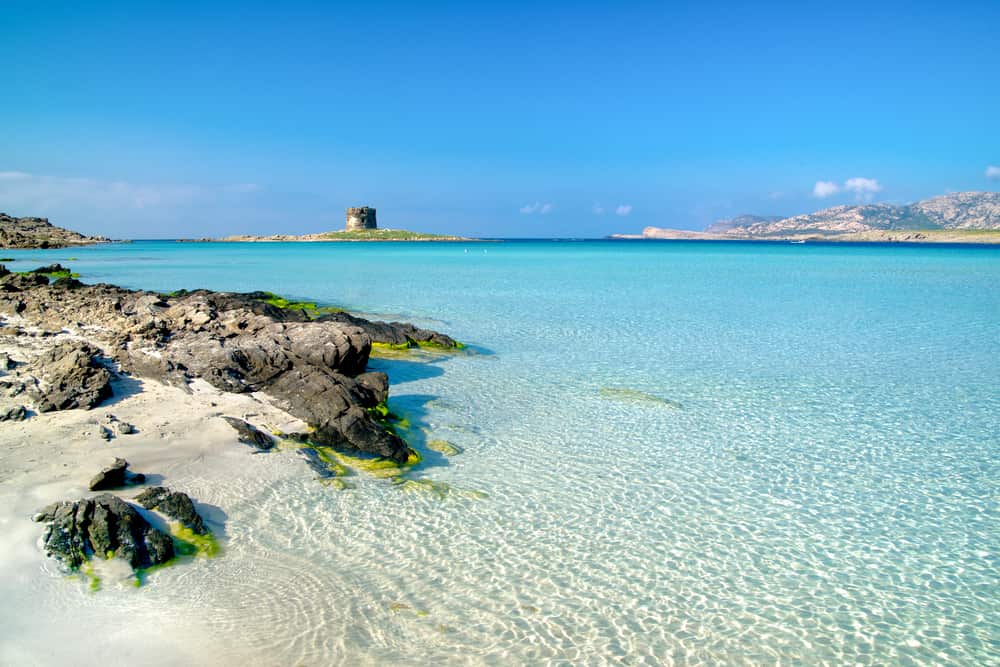 la pelosa beach