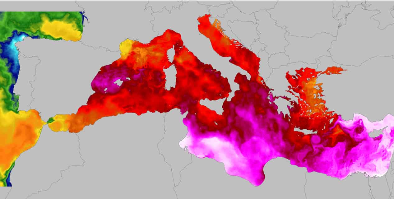Il Riscaldamento Inarrestabile del Mediterraneo: Una Crisi Climatica senza Confini