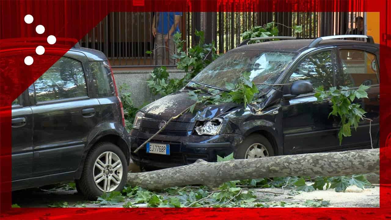 Danni a Milano per il forte vento. Video meteo