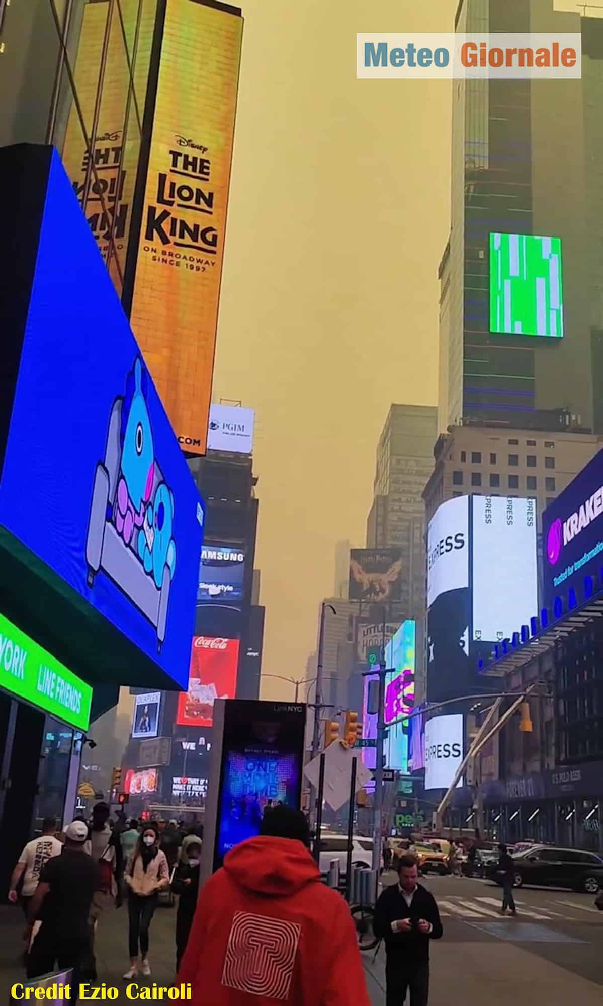 meteo new york11