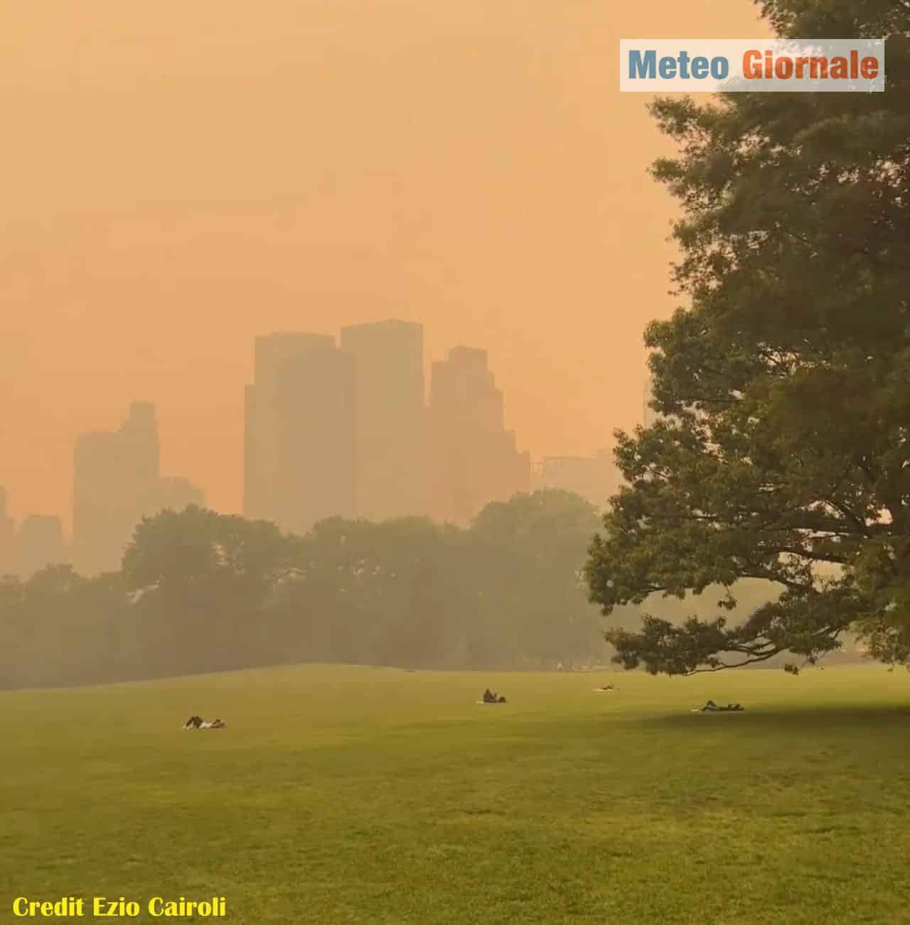 meteo new york69