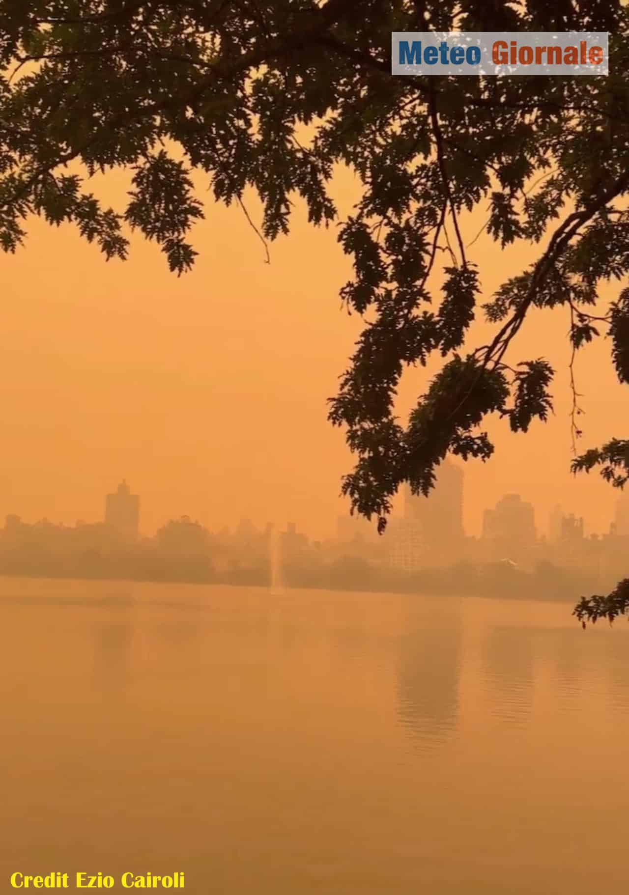 meteo new york77