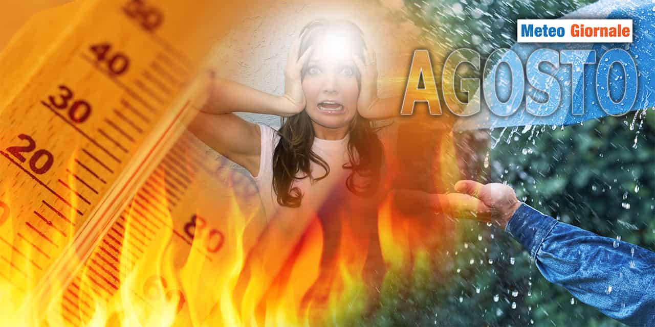 fermento agosto 280723
