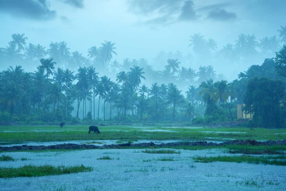 Meteo: monsone indiano partito alla grande, oltre 2500 mm nel Meghalaya