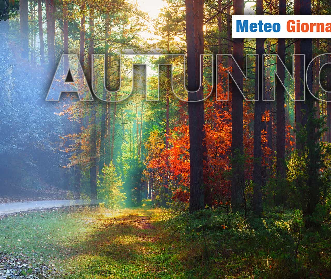 L'AUTUNNO 2023 avrà poco meteo africano 19 L’AUTUNNO 2023 avrà poco meteo africano