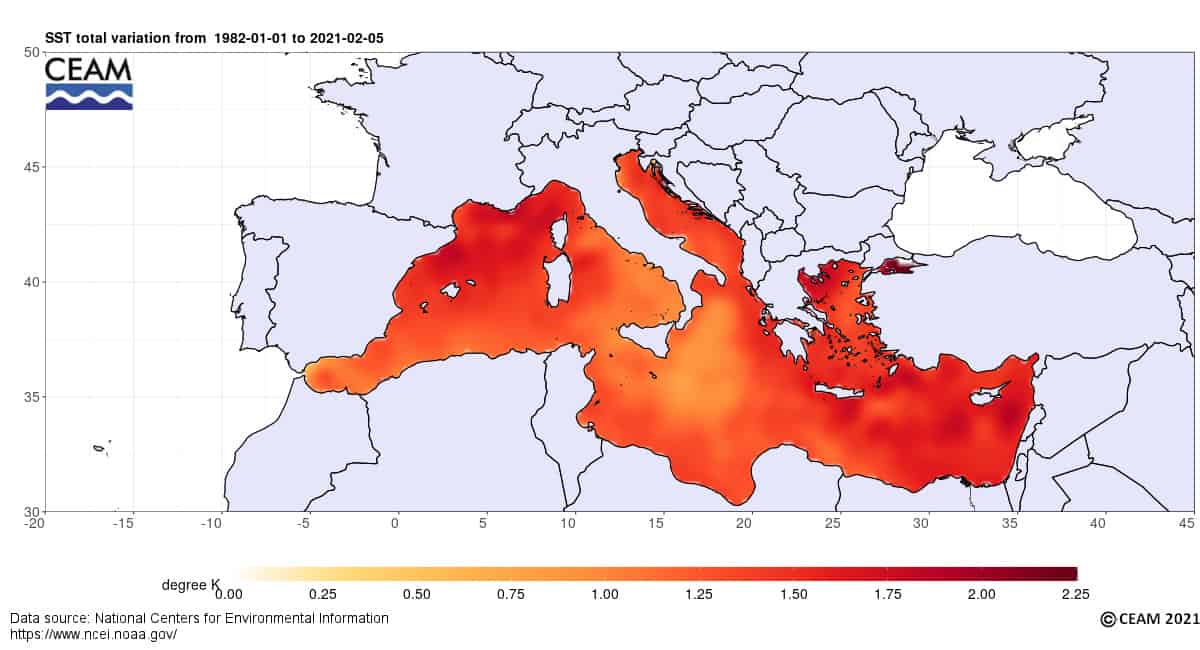 Meteo, le ricorrenti ondate di calore marino. Gli effetti