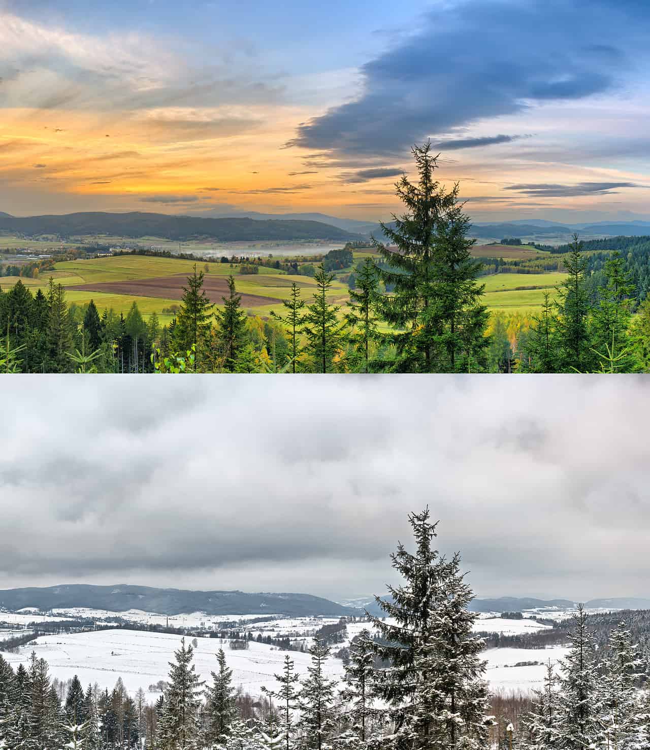 Meteo, Ecco un Anno Senza Inverno 6 Meteo, Ecco un Anno Senza Inverno