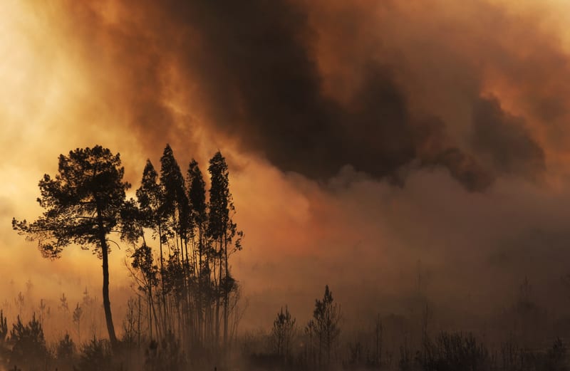 36 morti a causa dei devastanti incendi in Hawaii, i venti da uragano iniziano a diminuire giovedì