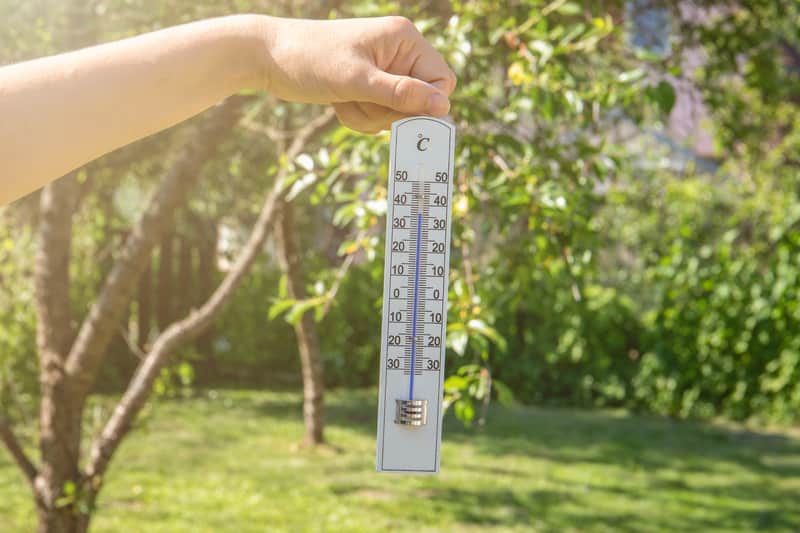 Ondata di calore pericolosa cuoce il Nordovest del Pacifico