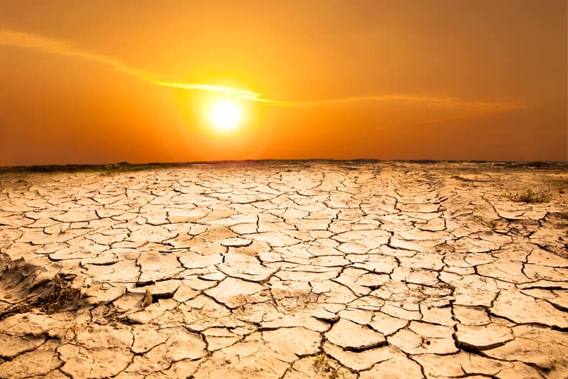 Le imprese edili lavorano per prevenire malattie da calore