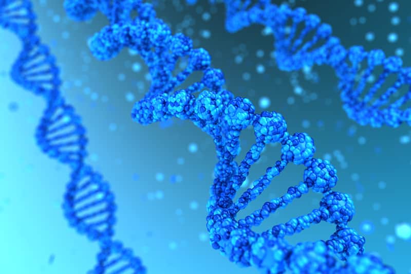 Genomi Globali: Gli Scienziati Riscrivono la Storia della Genetica Umana