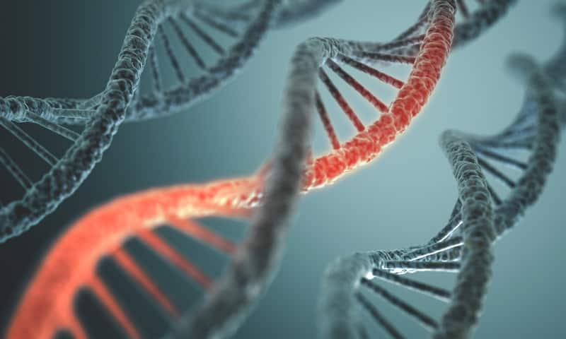 Nanotransistor 3D economici: la chiave è nel Dna