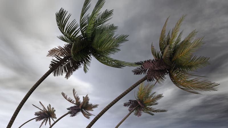 L’uragano Dora prosegue la sua rotta a sud delle Hawaii mentre incendi devastanti infuriano a Maui