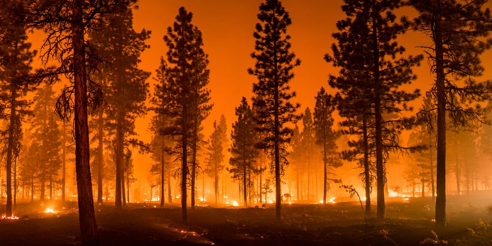 Incendi in Canada: 20.000 persone evacuate mentre le fiamme a Yellowknife