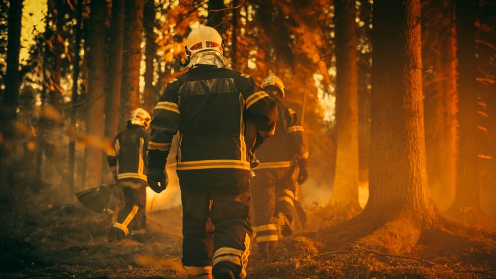 200 incendi scoppiati in Grecia nelle ultime 48 ore: un’estate senza eguali