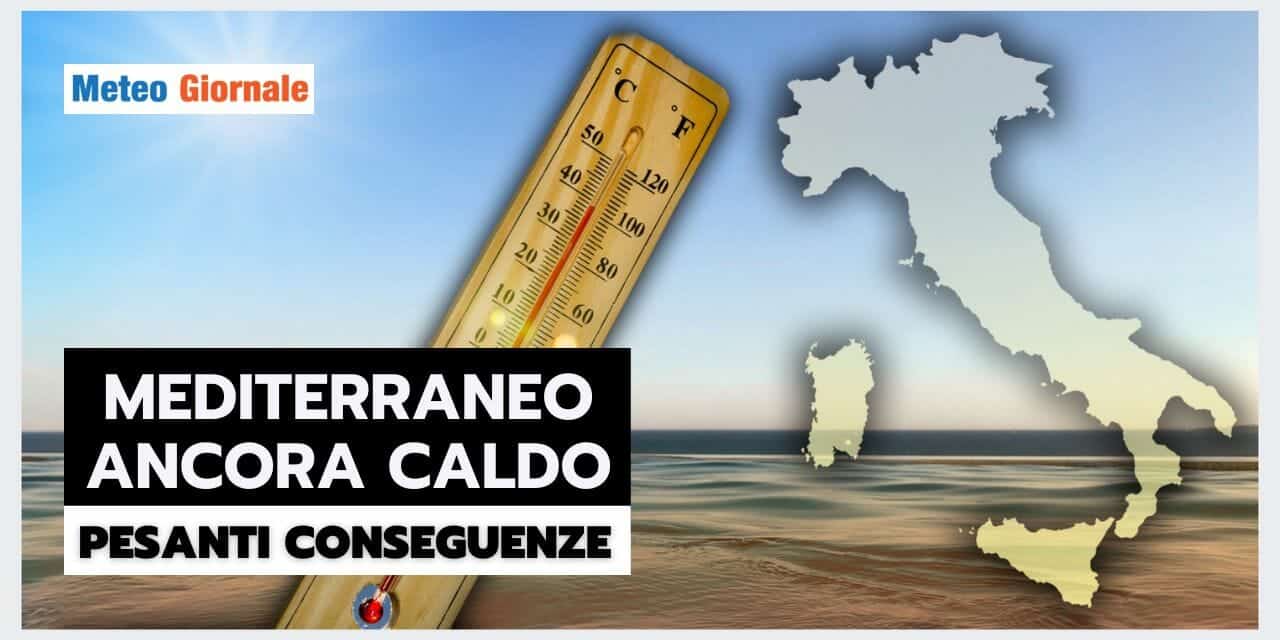 ESTATE STRANA 20 1