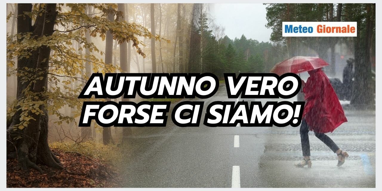 ESTATE STRANA 46
