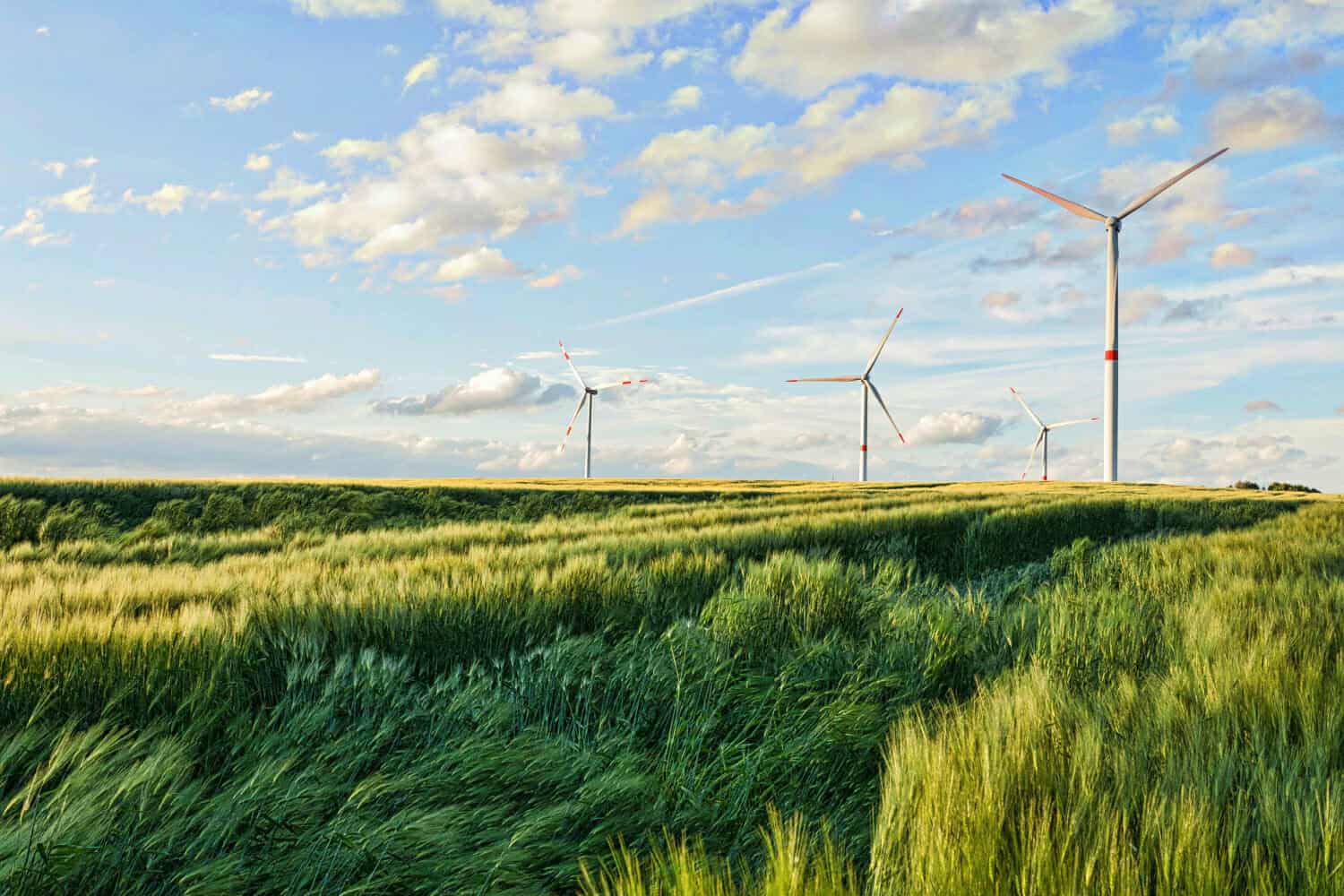 bello colpo dei generatori eolici sotto il cielo nuvoloso nella regione eiffel germania