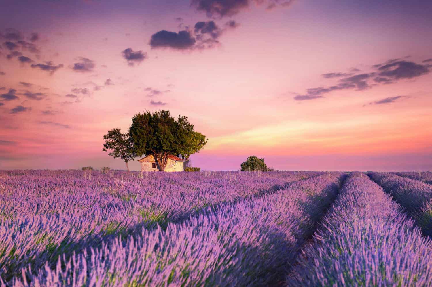 15 luoghi da visitare assolutamente in Provenza