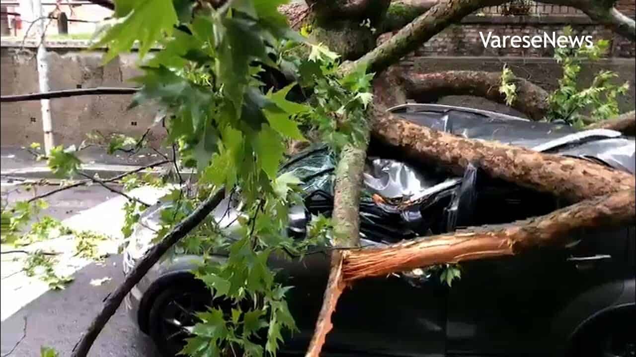 Diretta meteo: Milano video di un temporale tropicale in Lombardia