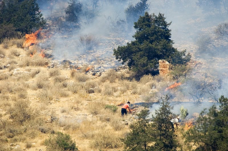 Focolai di incendi minacciano abitazioni a Catania e dintorni