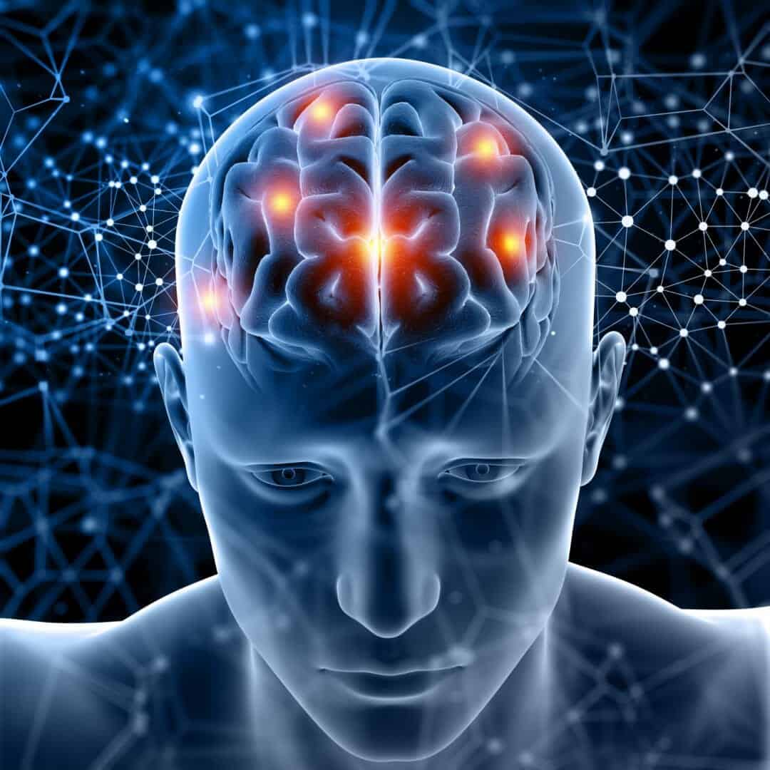 figura medica 3d con cervello evidenziato