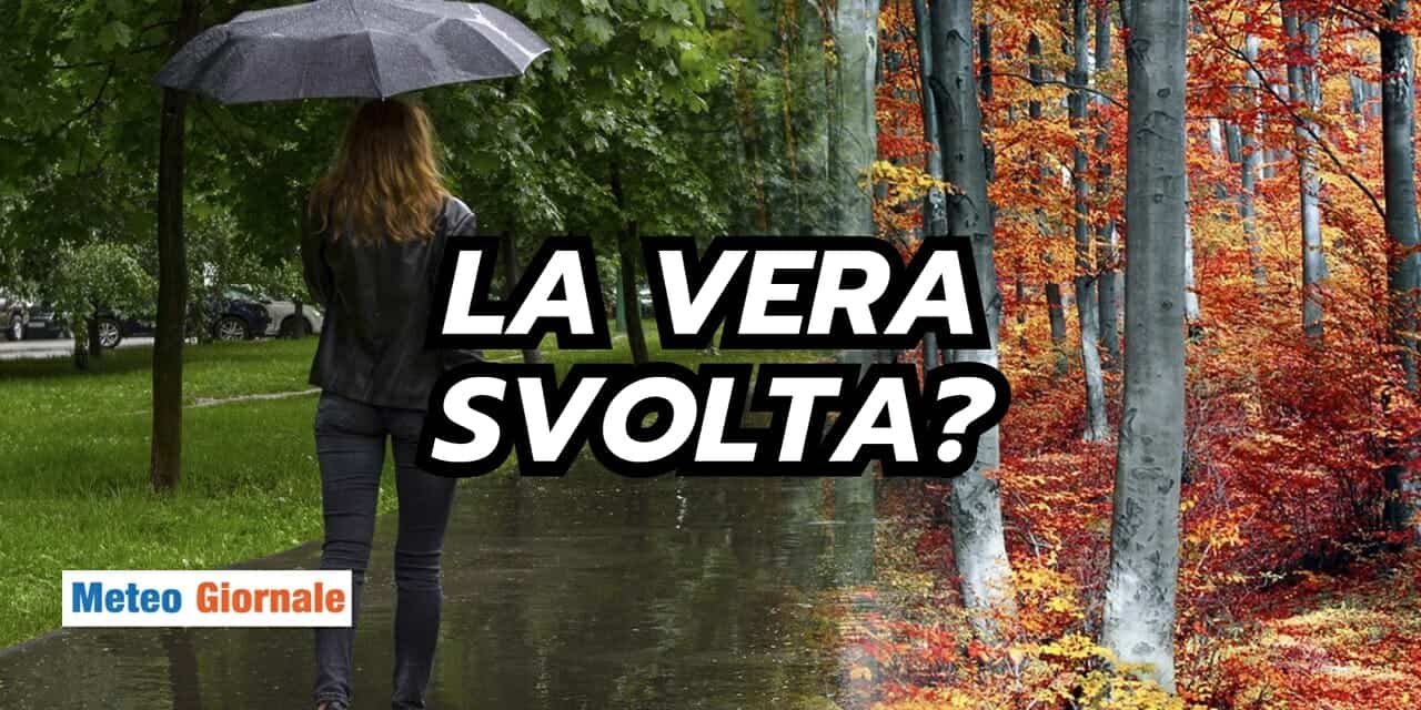 svolta 77
