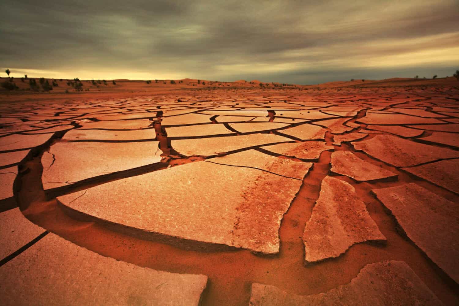 terra di siccita 1