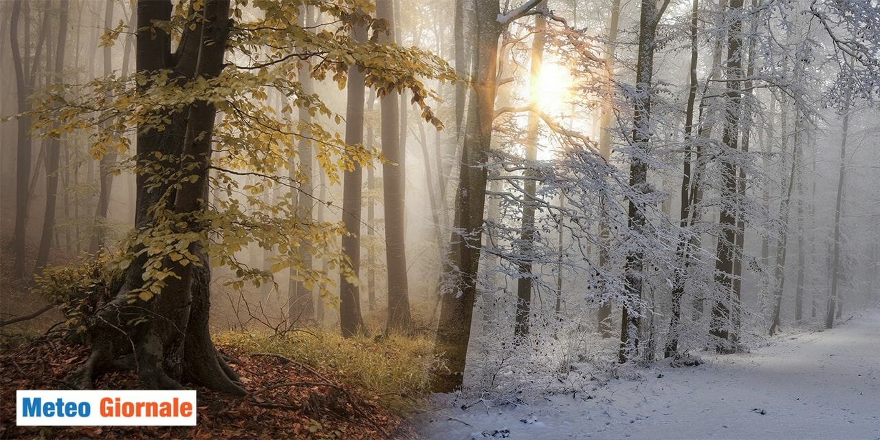 Autunno, quanto manchi! E se venisse subito inverno?