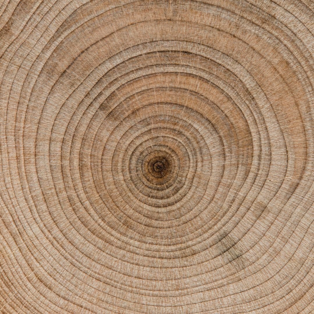 bella macro concetto di legno