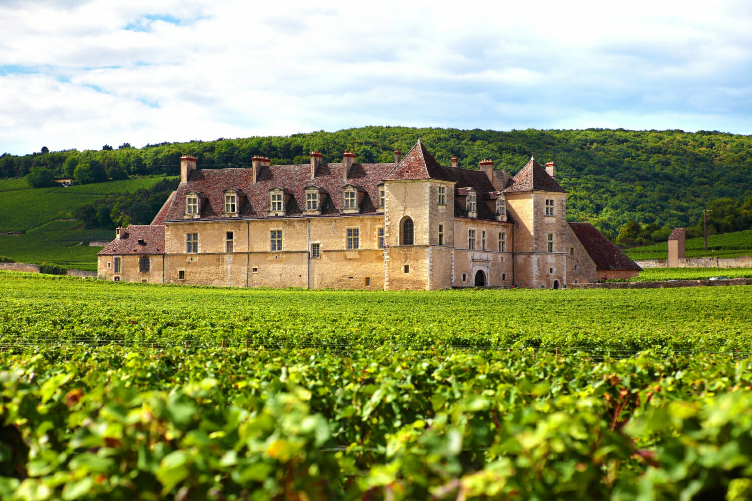 Percorsi alla scoperta della Valle della Loira in Francia