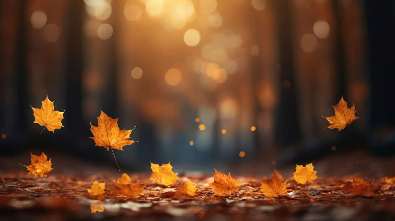 Meteo nel Nord America-arriva il vero Autunno