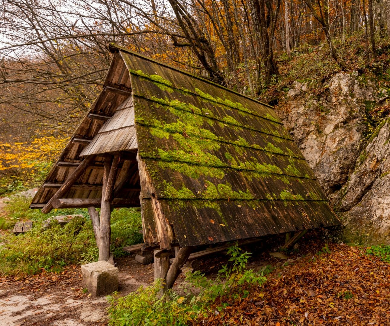Archeologi scoprono la più antica struttura in legno realizzata dall’uomo nel mondo