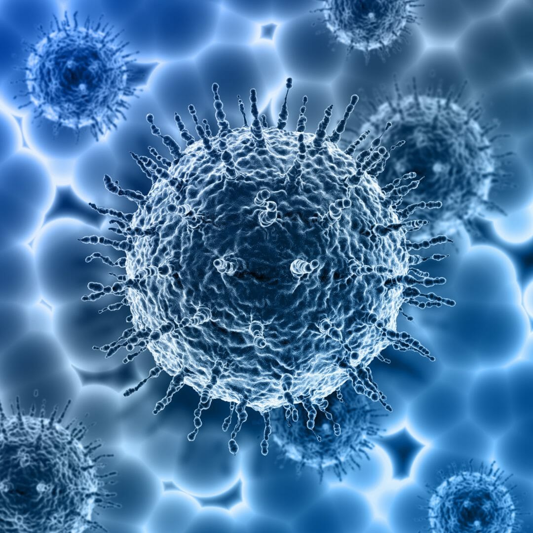 Scoperto un nuovo virus nella Fossa delle Marianne-punto più profondo degli Oceani