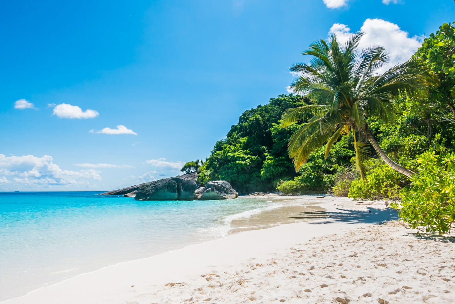 spiaggia tropicale con sabbia bianca