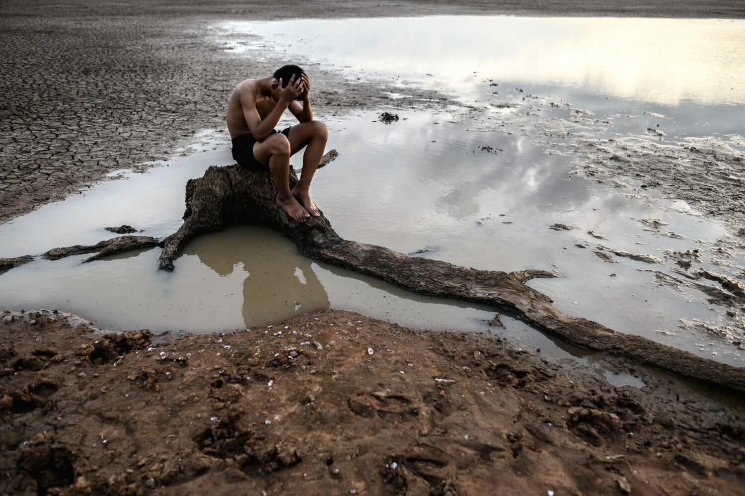un uomo seduto piego le ginocchia e mise le mani sulla testa sulla base dell albero e circondato dall acqua