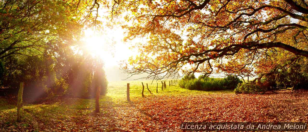 Meteo L’Aquila: oggi nuvole, ma il sole tornerà presto!