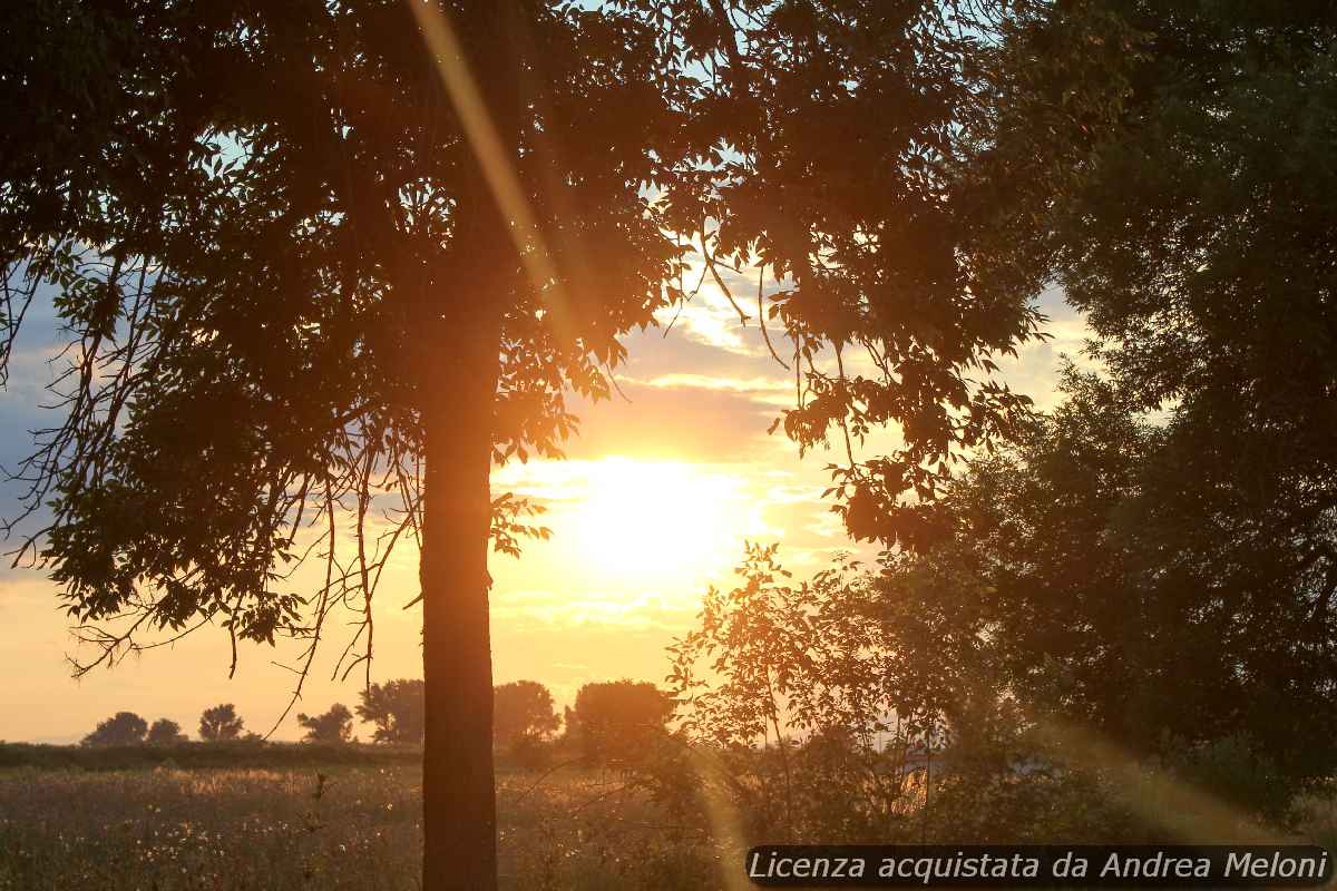 Meteo L’Aquila: nuvole oggi, ma sole in arrivo domani
