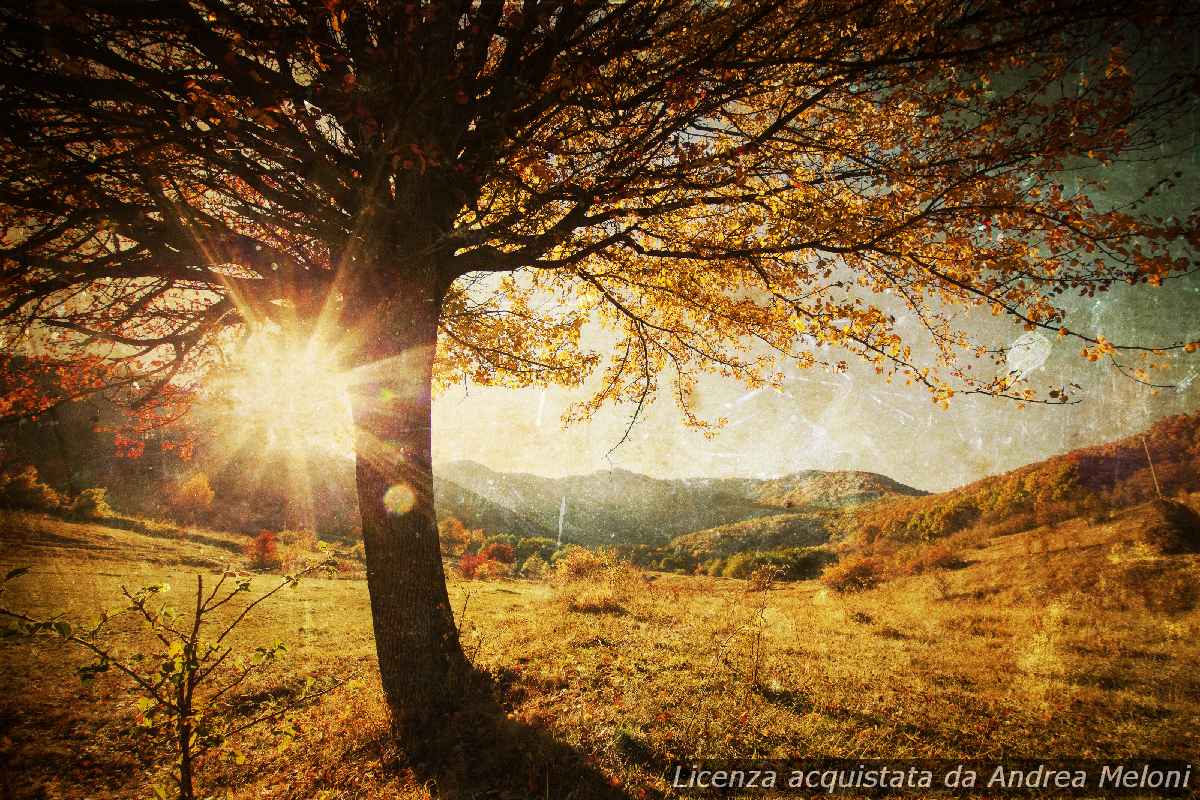 Meteo L’Aquila: nuvole e pioggia in arrivo, vento in aumento