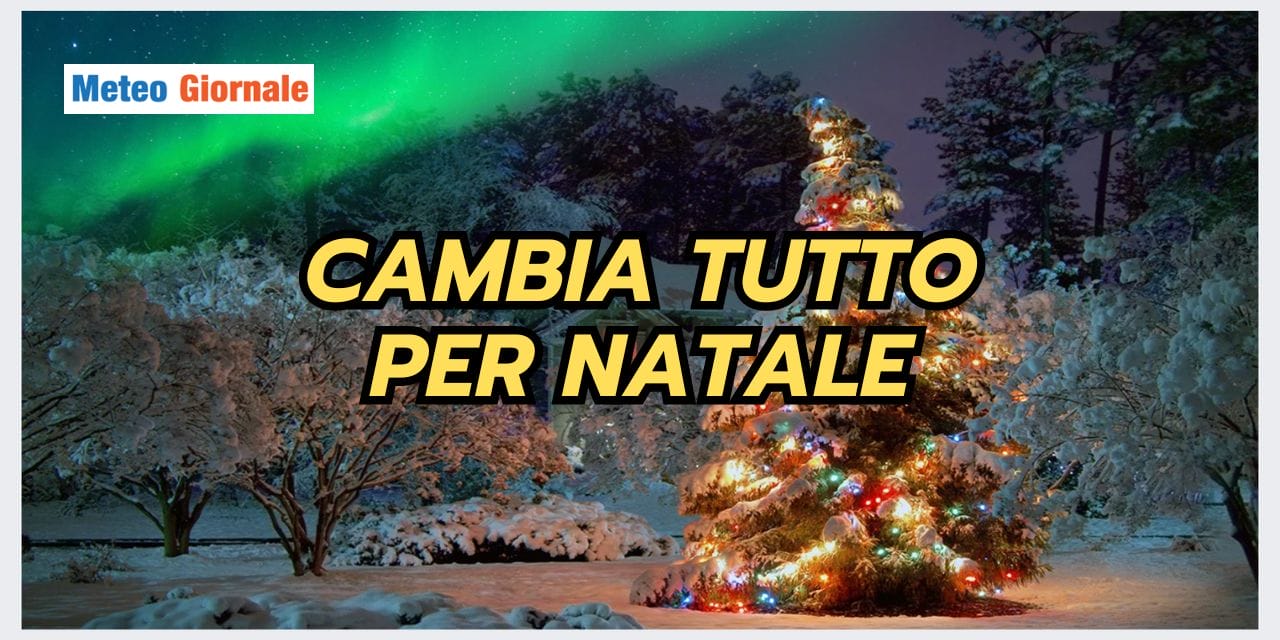 ESTATE STRANA 2023 12 13T130543.533
