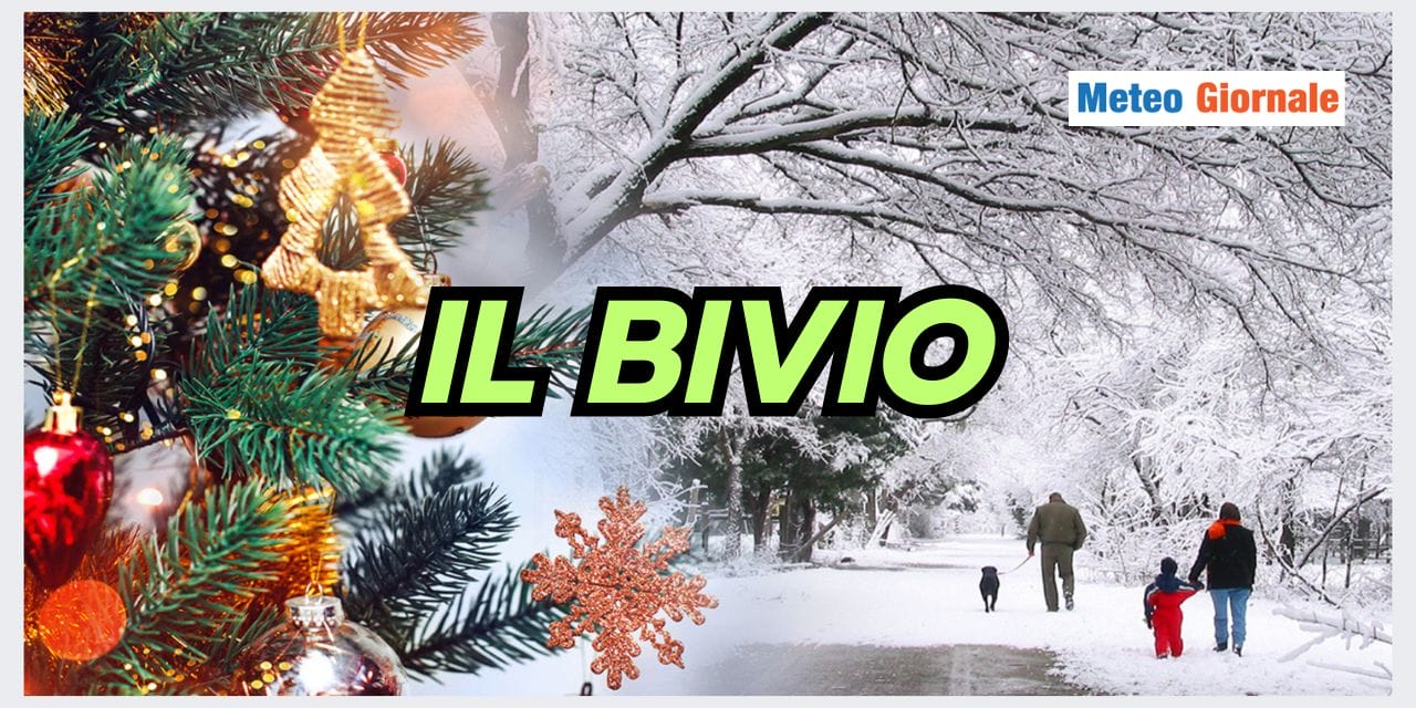 ESTATE STRANA 2023 12 16T135610.144