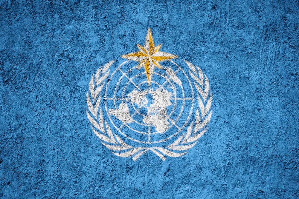 bandiera di meteorological organization del mondo dipinta sulla parete del grunge