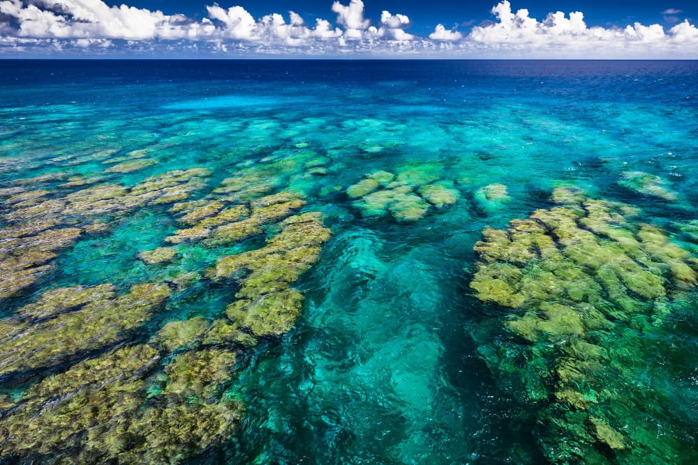 barriera corallina tropicale sulle isole australia