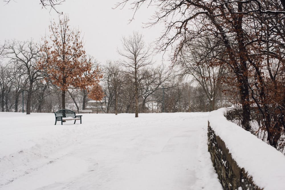 beautiful shot park covered with snow cold winter day