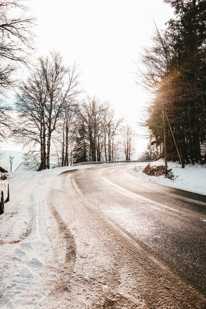 curvy road covered dirt snow surrounded by trees sunlight