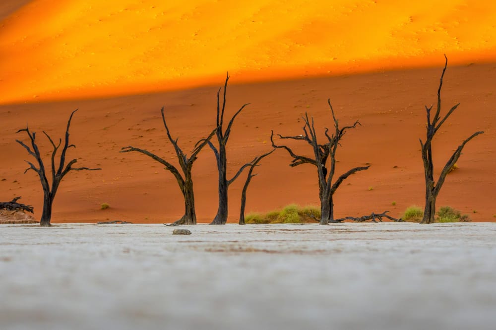 deadvlei nel parco nazionale di namib naukluft sossusvlei